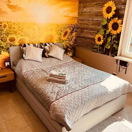 Slonecznikowa Polana Duszniki Zdrój