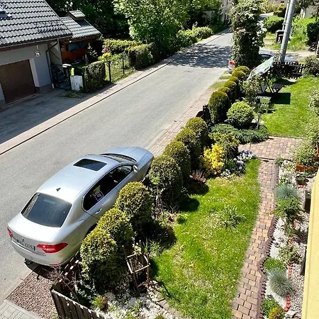 Slonecznikowa Polana * 두슈니키 즈드로지