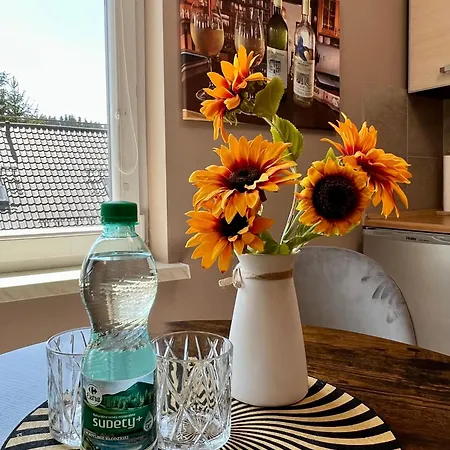 Slonecznikowa Polana * 두슈니키 즈드로지