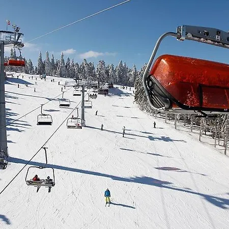 Slonecznikowa Polana *