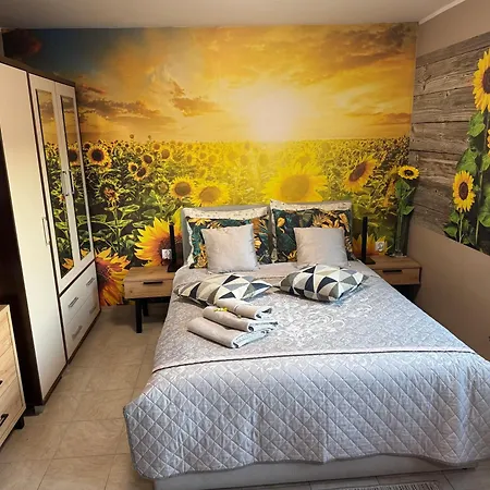 Apartmán Slonecznikowa Polana Duszniki Zdrój