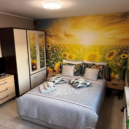 Slonecznikowa Polana * Duszniki Zdrój