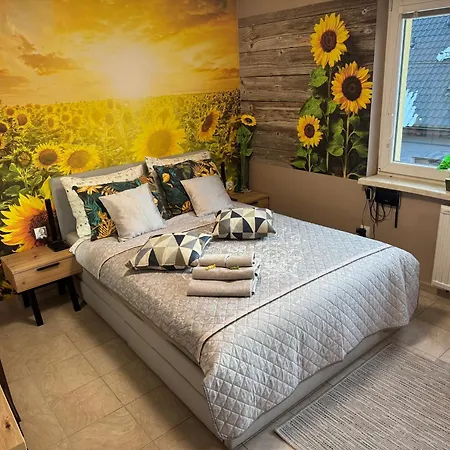 Appartamento Slonecznikowa Polana *