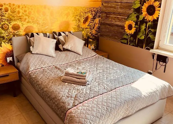 Slonecznikowa Polana Duszniki Zdrój