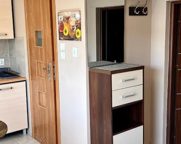 Slonecznikowa Polana Apartment *