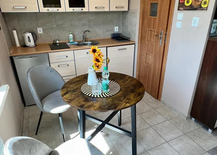 Slonecznikowa Polana Duszniki Zdrój