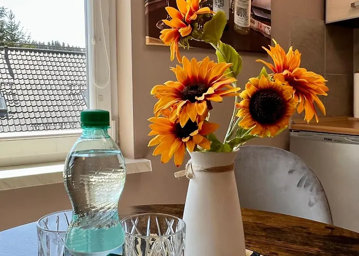 Slonecznikowa Polana * Duszniki Zdroj