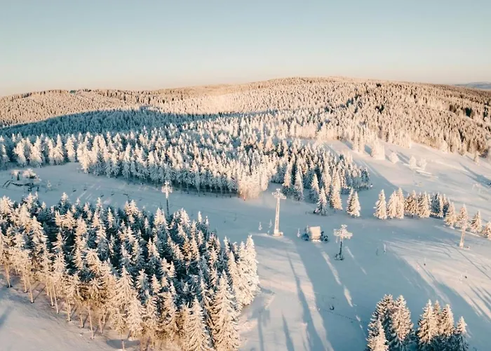 Slonecznikowa Polana Duszniki Zdroj