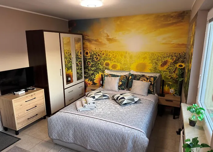 Slonecznikowa Polana * Duszniki Zdrój